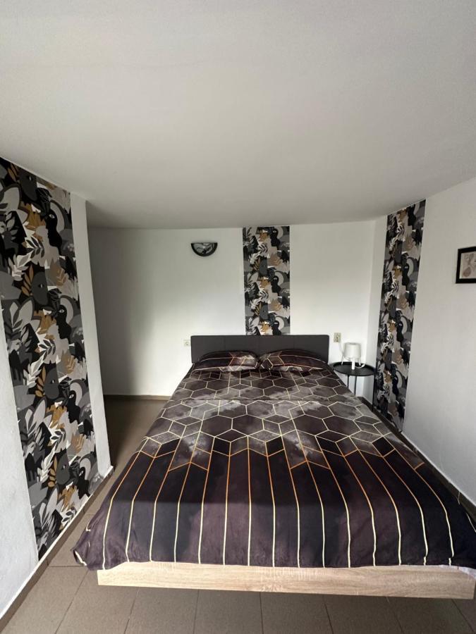 كوربو Camere De Inchiriat David Casa David المظهر الخارجي الصورة